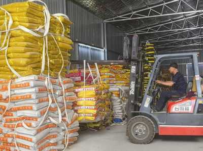 绿色农资进万家 科技服务助丰收——青岛市供销社2025年绿色农资下乡暨网络技术服务活动纪实