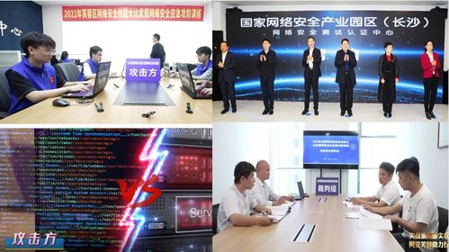 共生与韧性 中国网络安全行业全景图（第十版）与网络技术服务实践洞察